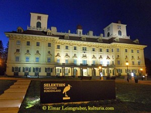 Schloss Esterhazy DSCN1406